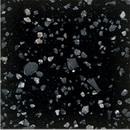 T-005 Onyx